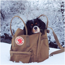 Fjallraven品牌